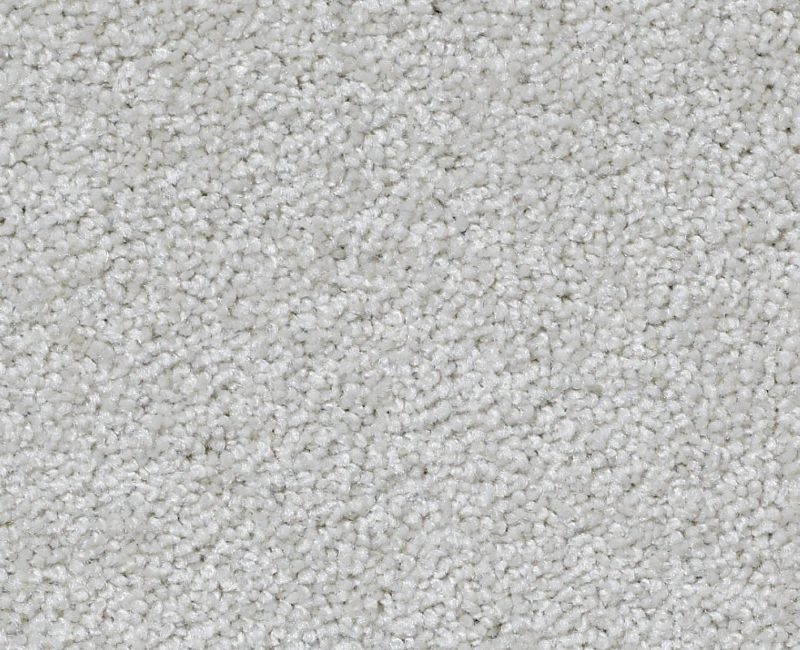 Great Choice Fresh Perspective Nylon Carpet - Textured