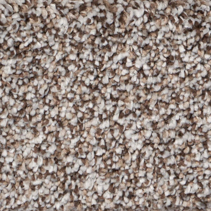 Exalted Prime Distinguished Polypropylene Carpet - Textured