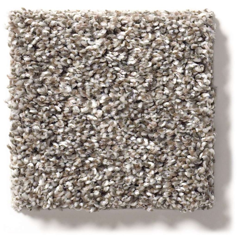 Simply The Best After It Ii Tree House Polyester Carpet - Textured