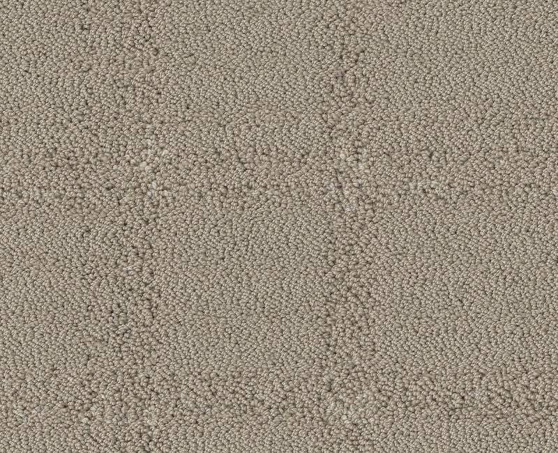 Calm Spirit Sculpture Polyester Carpet - Textured
