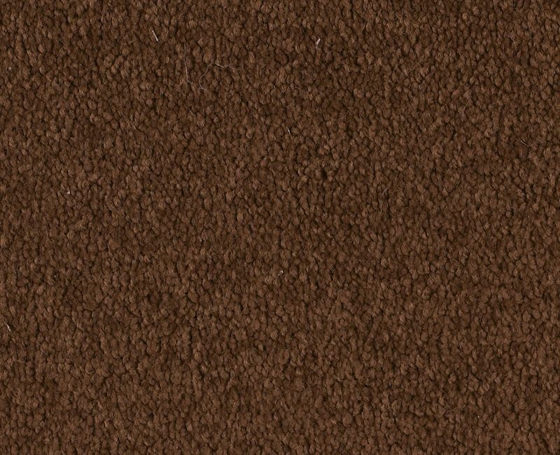 Before Dawn (S) Fudge Nylon Carpet - Textured