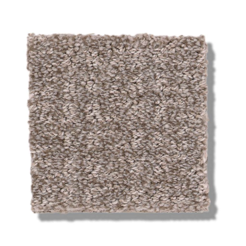 Pet Perfect Plus Secret Passage Dark Maple Polyester Carpet - Textured