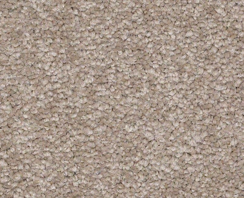 Magic Happens Pv Iv Leapfrog Nylon Carpet - Textured