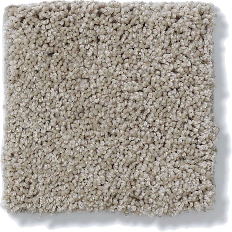 Foundations Keen Senses I Espresso Nylon Carpet - Textured