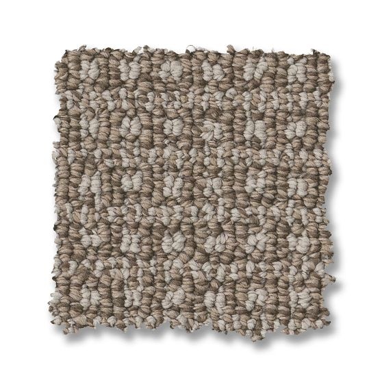 Pet Perfect Fetch Stampede Nylon Carpet - Loop