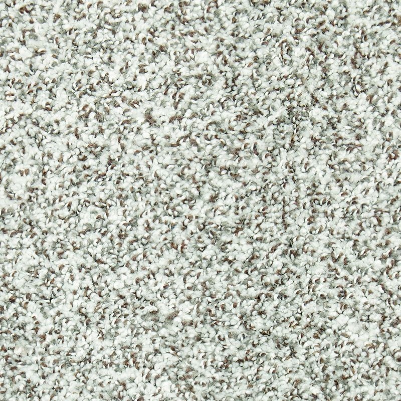Natural Opulence I Silence Triexta Carpet - Textured