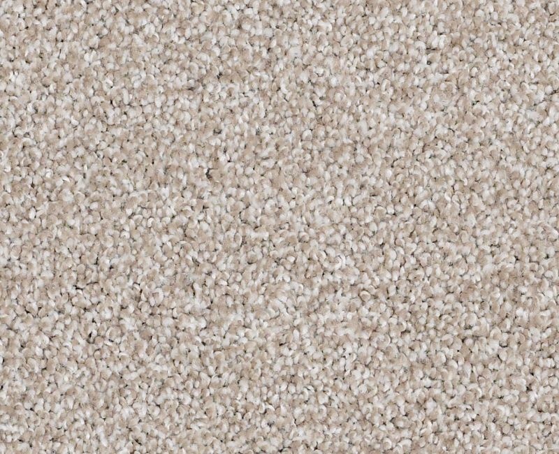 Anso Open Ii (T) Doeskin Nylon Carpet - Textured