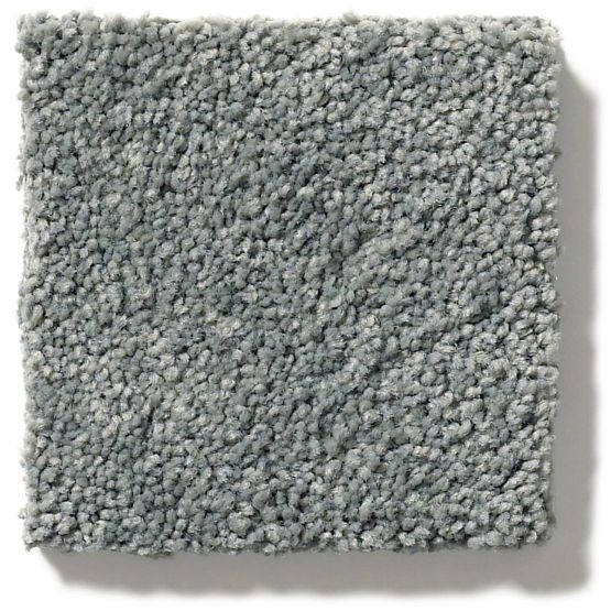 Pet Perfect Pawparazzi II Steel Wool Nylon Carpet - Textured