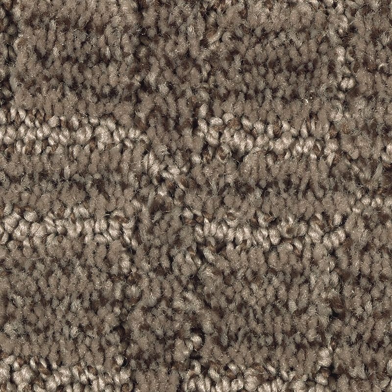 Refined Interest Deep Sable Polyester Carpet - Pattern