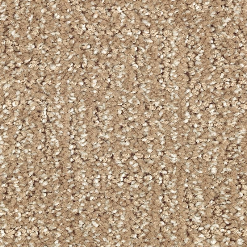 Natural Treasure Spiced Tea Triexta Carpet