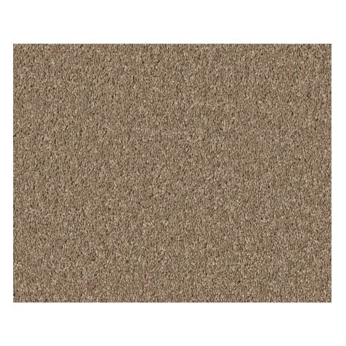 Smooth Talk Ii Warm Wood Polyester Carpet - Textured