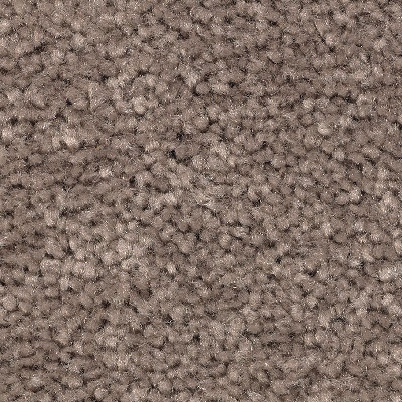 Treasure Valley Dockside Polyester Carpet - Textured