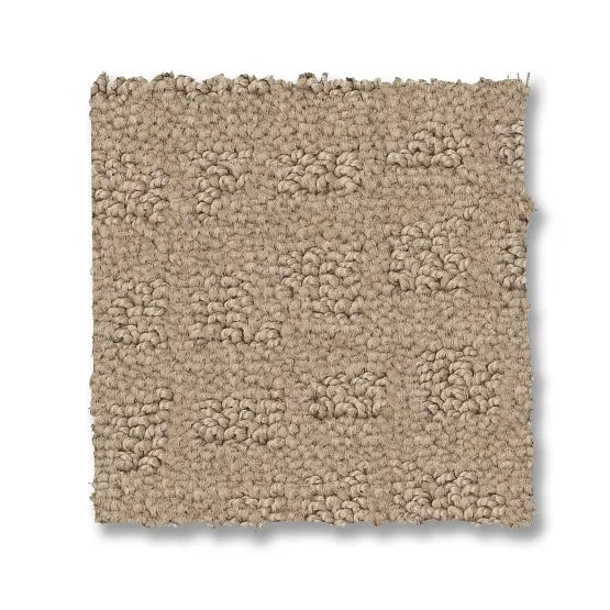 Reawaken Solstice Terrazo Nylon Carpet - Loop