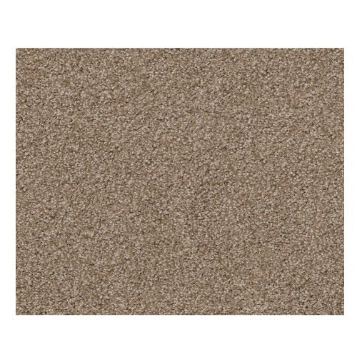 Sweet Inspiration I Net Sombrero Nylon Carpet - Textured