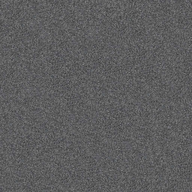 Pet Perfect Yes You Can Iii 12' Refined Polyester Carpet - Textured