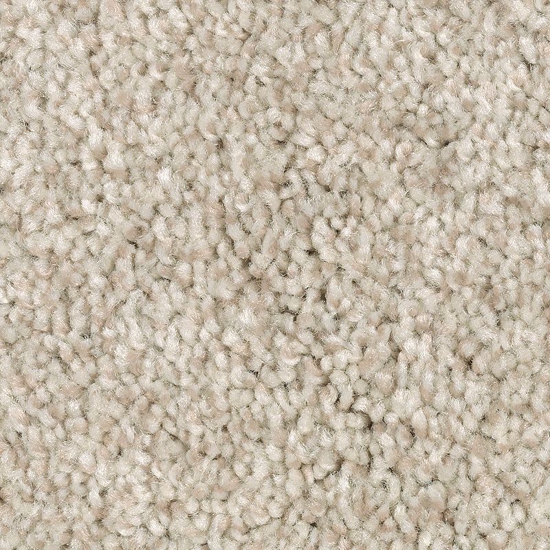 Tonal Chic Ii Coastal Fog Polyester Carpet - Textured