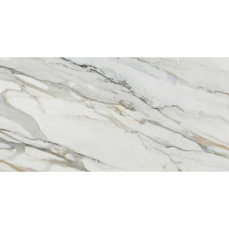 Imperial Arabescato Corchia Porcelain Tile - Matte - 24" X 48"