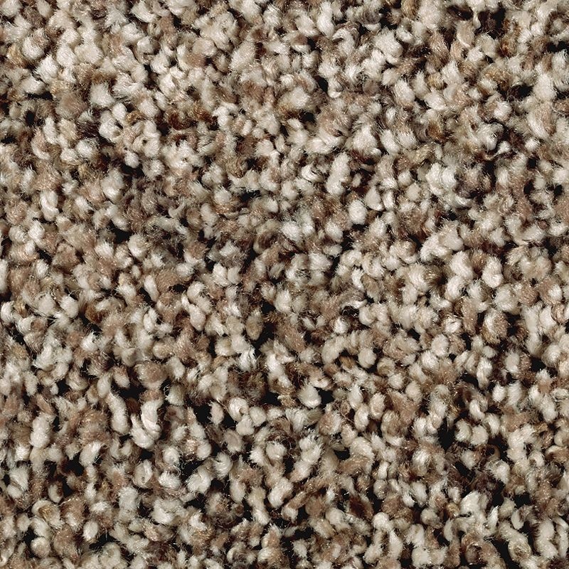 Softly Elegant I Caramel Ripple Polyester Carpet - Textured
