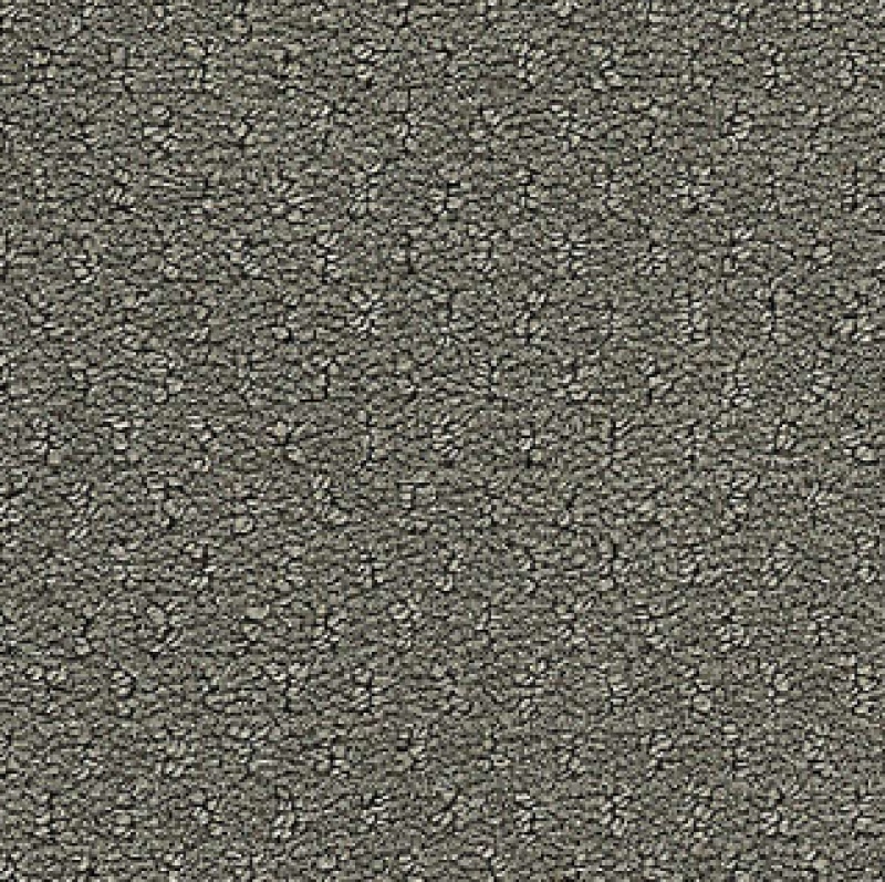 Influencer Classic Update Frosted Slate Nylon Carpet - Loop
