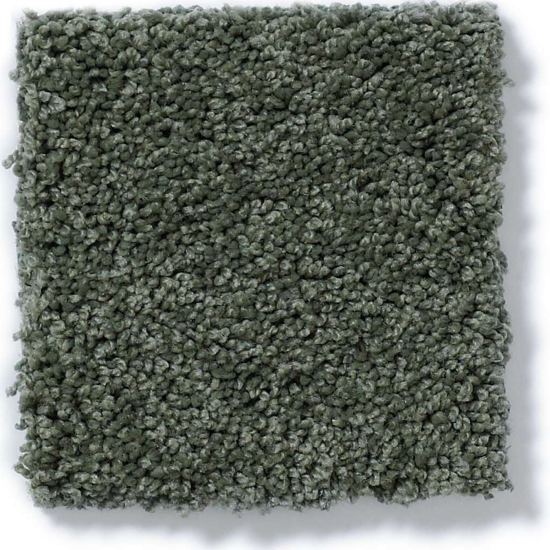 Soft Shades My Choice Ii Bay Laurel Nylon Carpet - Textured