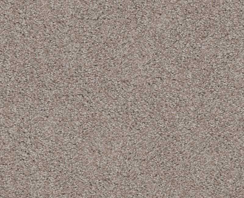 Inspire Me I Khaki Nylon Carpet - Textured
