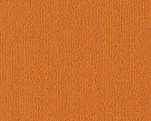 Color Accents Bl Orange Nylon Carpet - Loop