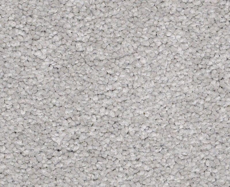 Qs160 15' Silver Charm Nylon Carpet - Textured