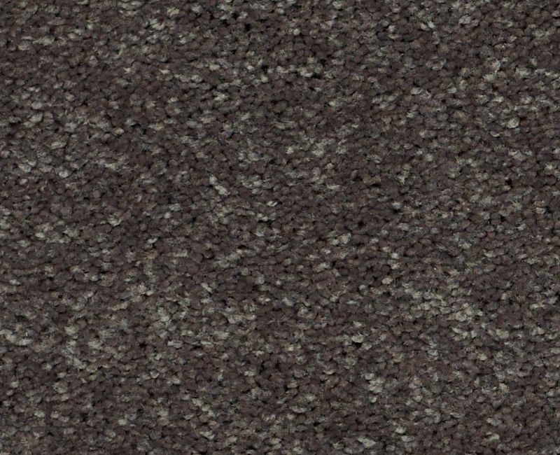 Main Stay 12' Charcoal Polyester Carpet - Textured
