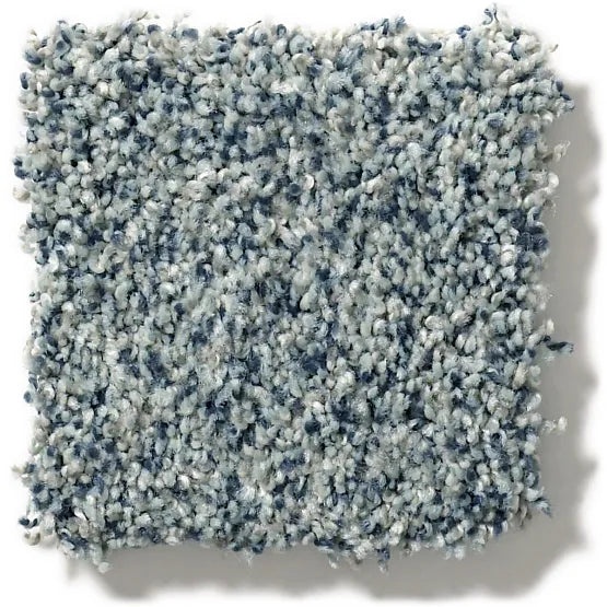 Pet Perfect The Bark Side I Sprinkle Nylon Carpet - Textured