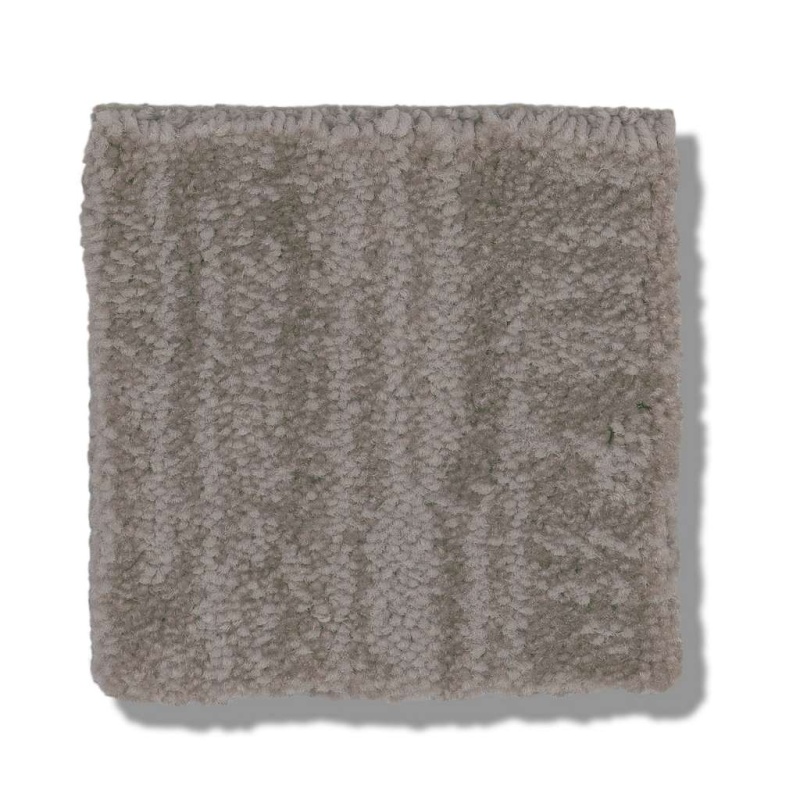 Caress By Shaw Insightful Journey Stucco Nylon Carpet