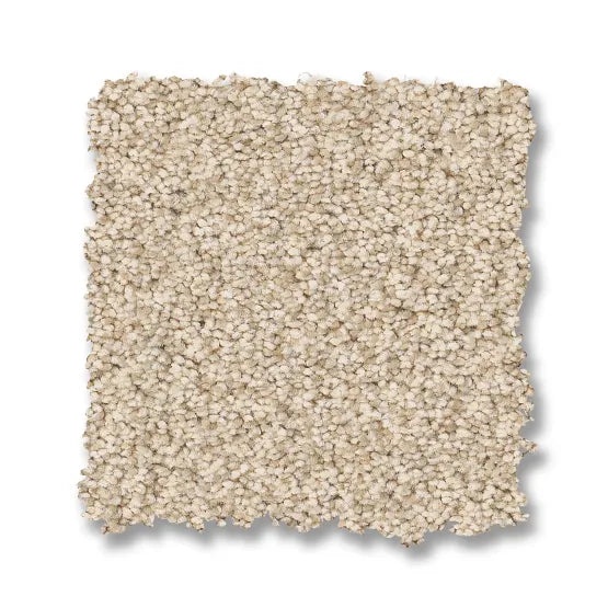 Somerset Risotto Nylon Carpet - Textured