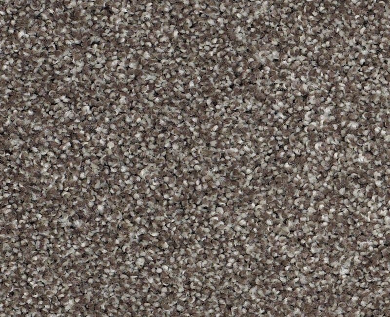 Uncomplicated Graphite Nylon Carpet - Pattern