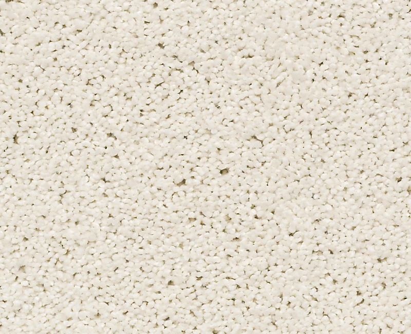 Always On Time Crisp Linen Nylon Carpet - Textured