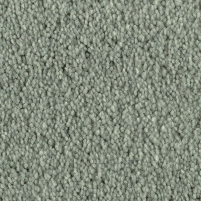 Distinct Beauty Ii Seamist Polyester Carpet - Textured