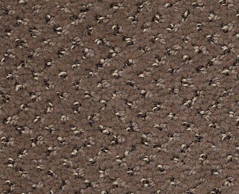 Clearance Sale! Legend Falls Tan Nylon Carpet - Pattern