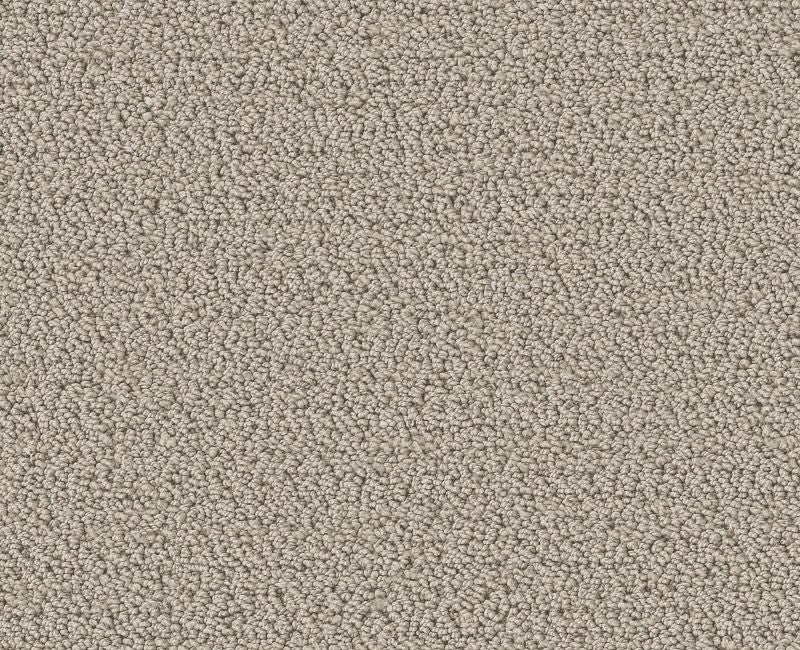 Without A Trace Sculpture Polyester Carpet - Textured