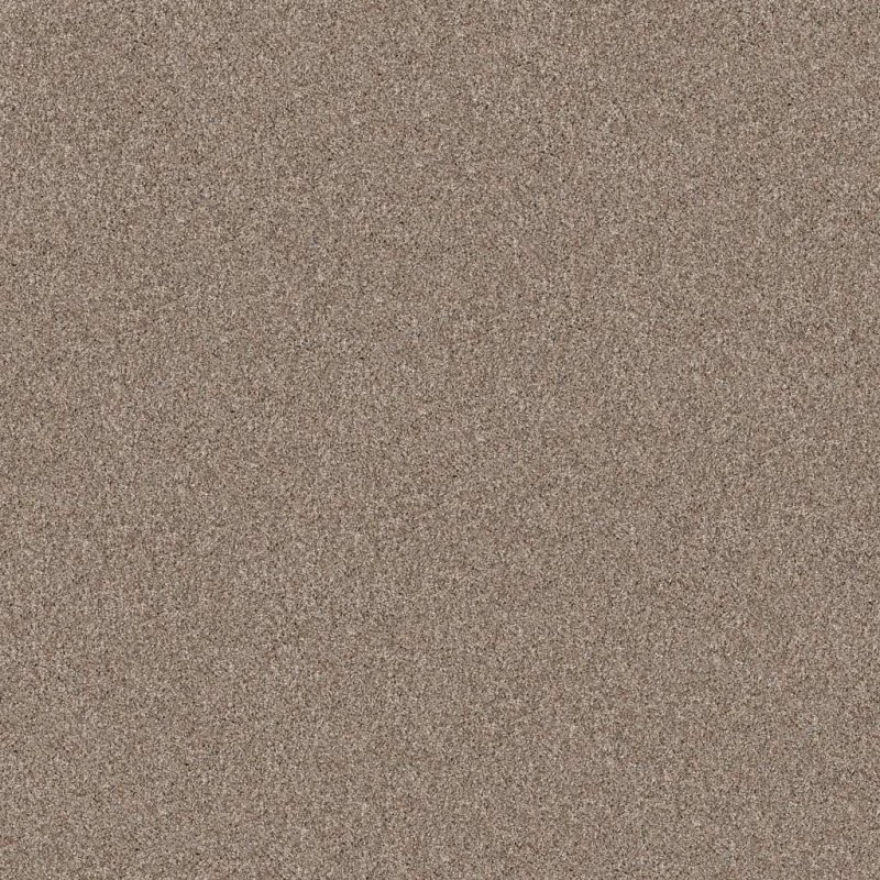 Pet Perfect Yes You Can I 15' Subtle Clay Polyester Carpet - Textured