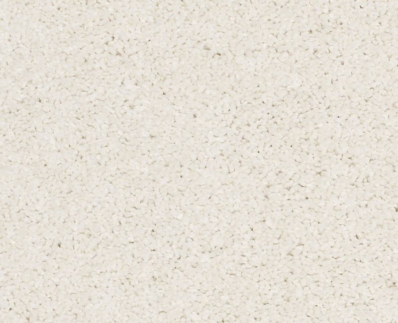 Pelotage Ii Icelandic Nylon Carpet - Textured