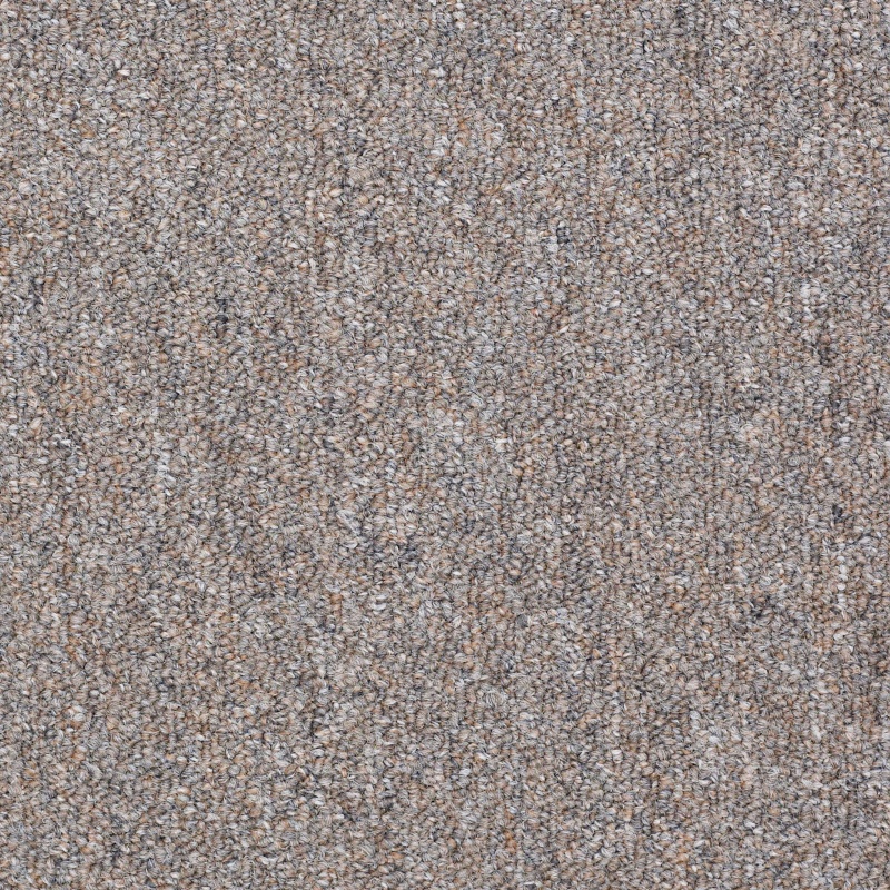 Capital III BL Electoral Vote Nylon Carpet - Textured