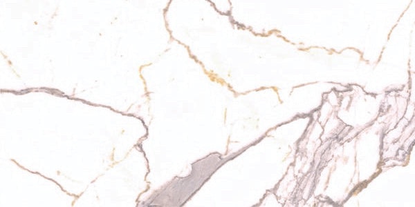 Cassini Carrara Porcelain Tile - Polished - 24" x 48"