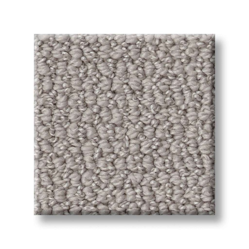 Simply The Best Embellished Ashen Polyester Carpet - Loop