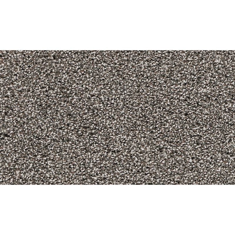 Blended Moments Swiss Coffee Nylon Carpet - Textured