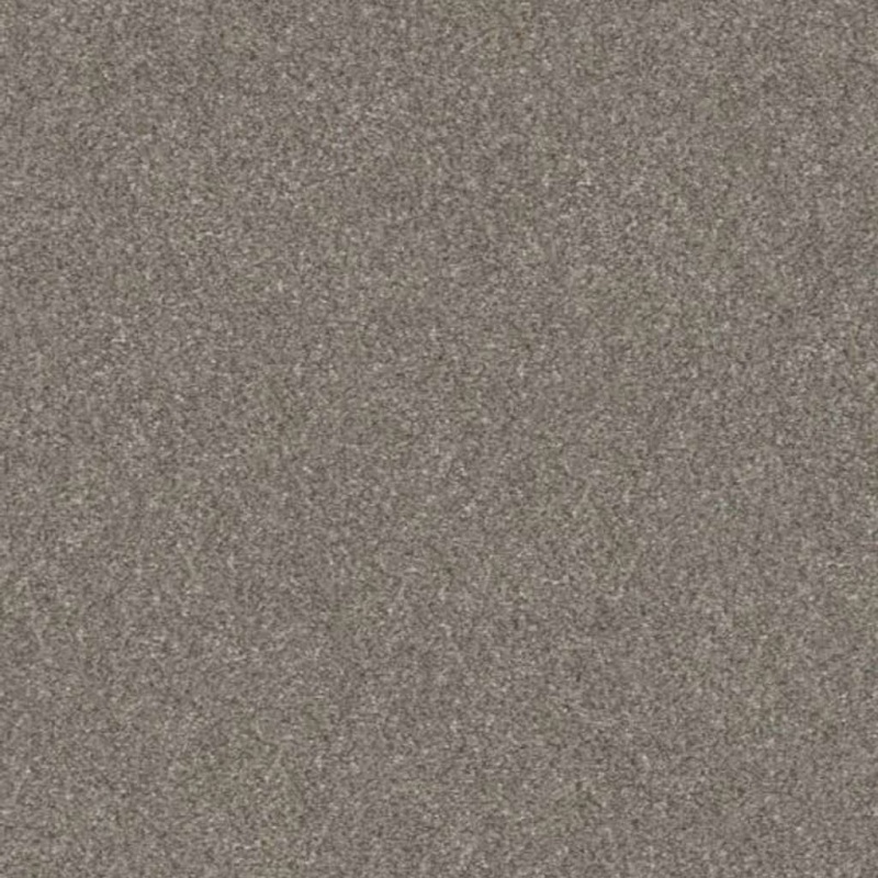 Simply The Best Without Limits Iii Abalone Polyester Carpet - Textured