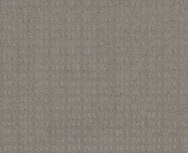 Now Or Never River Run Nylon Carpet - Loop