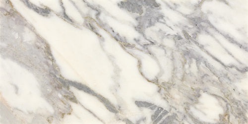 Eclessia Marble Arabescato Argento Marble Tile - Polished - 12" x 24"
