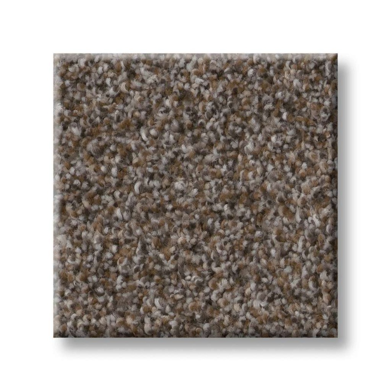 Truspirit II City Scape Polyester Carpet - Textured