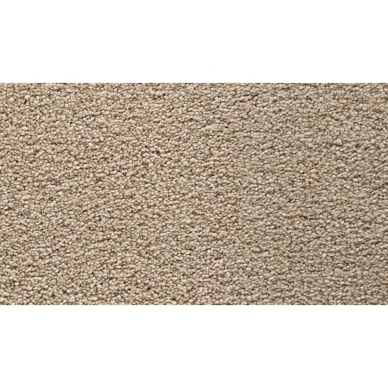 Bold Choice Dune Polyester Carpet - Textured