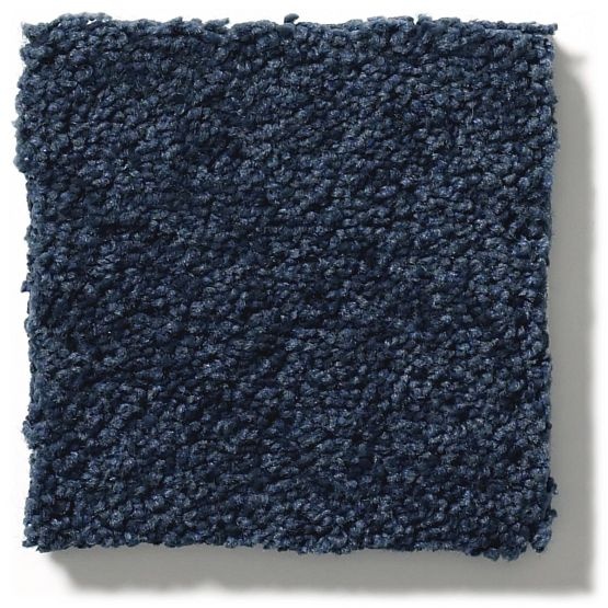 Pet Perfect Pawparazzi Ii Downpour Nylon Carpet - Textured