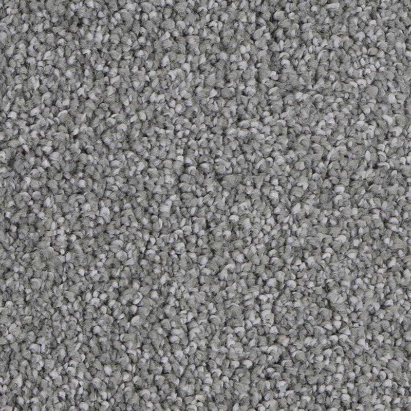Delicate Tones I Drizzling Mist Triexta Carpet - Textured