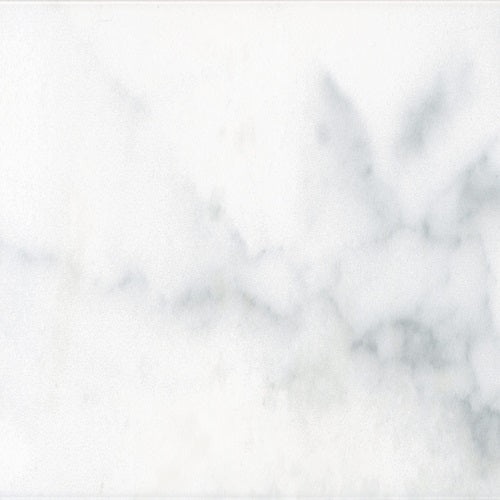 Statuary Wall Ceramic Tile - Glossy